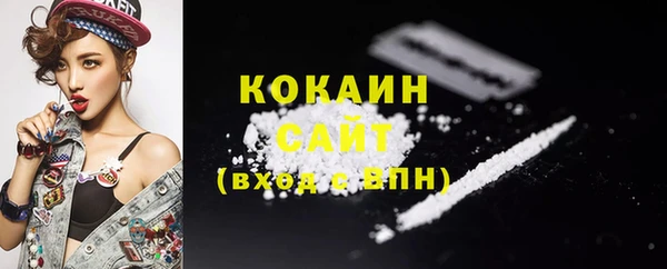 шишки Армянск
