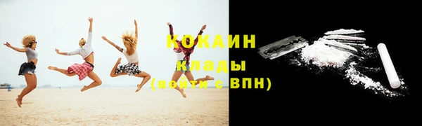 шишки Аркадак