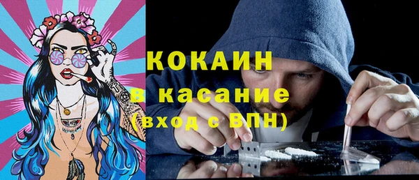 шишки Аркадак