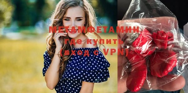 шишки Аркадак