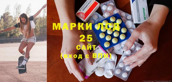 шишки Аркадак