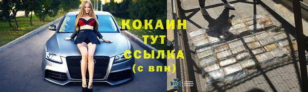 шишки Армянск