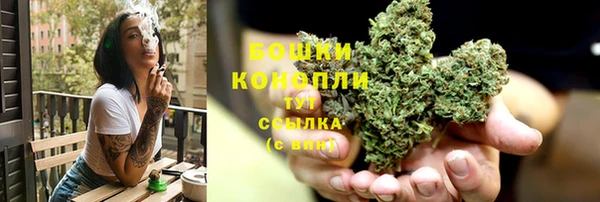 шишки Армянск