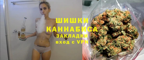 шишки Аркадак