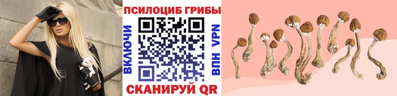 Псилоцибиновые грибы Psilocybine cubensis  купить наркоту  Старый Крым 